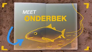 Saving Sandfish | EP1 | Meet Onderbek