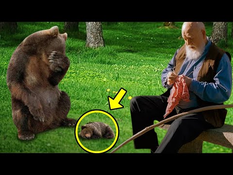 Injured Mama Bear Brought Her Dying Cub To This Man, Then He Did Something Unbelievable!