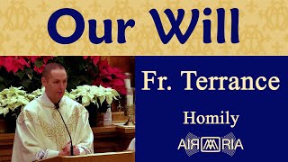 FS #59: Man in Franciscan Spirituality, Part 5 - Jan 02 - Homily - Fr Terrance