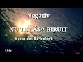 Negativ-NU TE LĂSA BIRUIT (Sorin din Barbulesti)