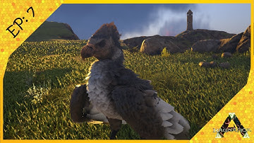 HIGH LEVEL ARGENTAVIS TAMING! Ark: Ragnarok [EP7]