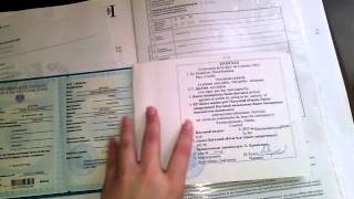 Чем отличается свидетельство о рождении Казахстана и Германии