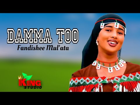 Fandishee Mul Ata DAMMA TOO New Oromoo Ethiopia Music HD 2025