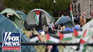 'The mob is ruling campus,' Columbia student warns