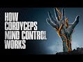 Could The Cordyceps Fungus Really Take Over Could The Cordyceps Fungus Really Take Over