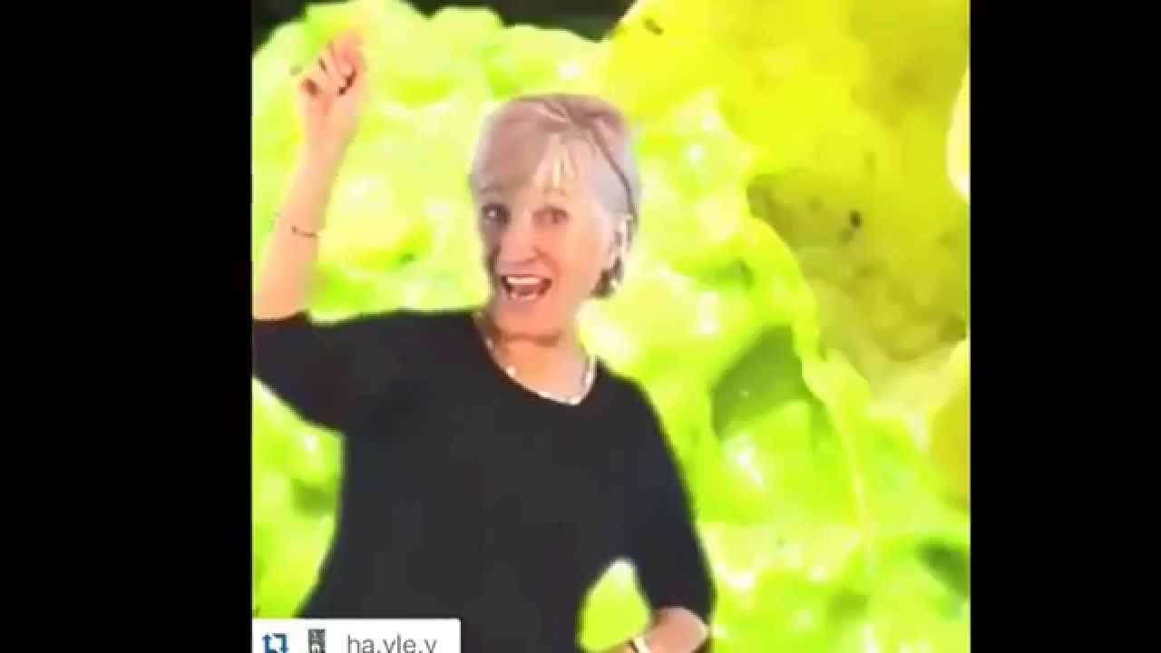 Avocado lady YouTube