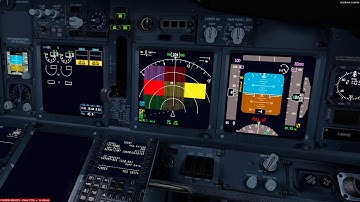 Prepar3d v4.5 | PMDG 737 NGX | GPWS sys test