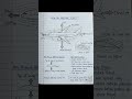 How an Airplane Flies