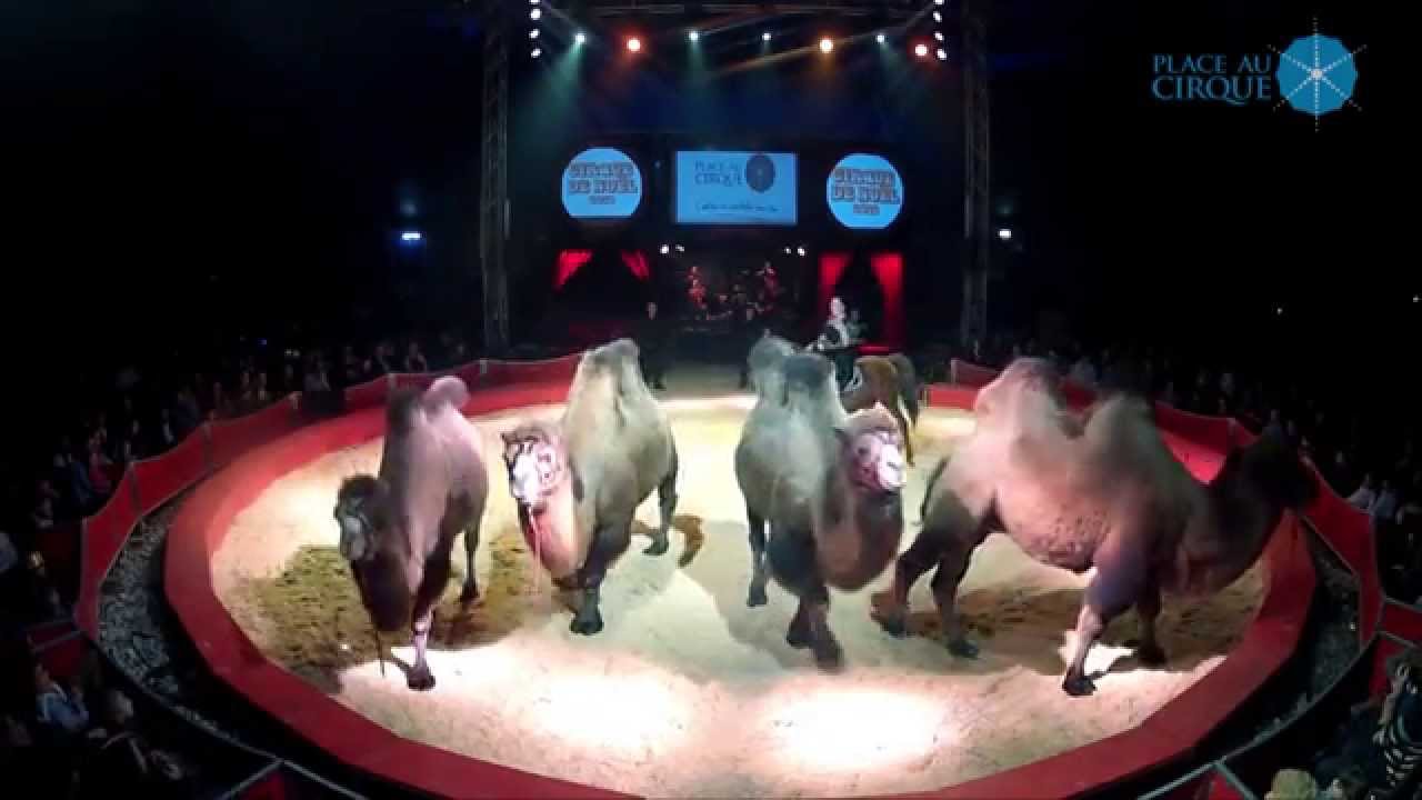 Jessica Bengstson - Chevaux et chameaux - Cirque de Noël 2012