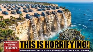 Florida Dumped Half a Million Tons of Oyster Shells Offshore… Look What Formed