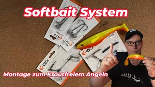 Das Softbait System. Meine Montage mit Vor- und Nachteilen