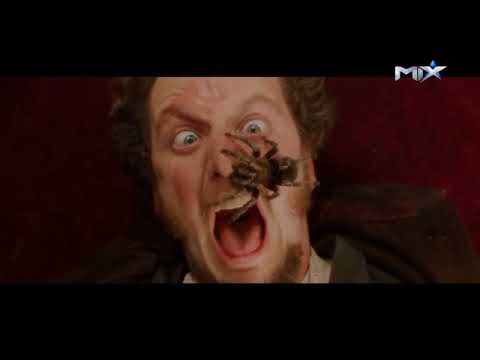 الكوميديا الترفيه مع قناة ميكس  