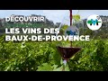  la dcouverte du vignoble des bauxdeprovence