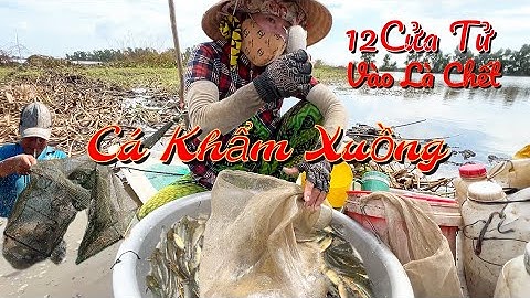 Thăm 12 Cửa Ngục Hôm Nay Anh Chị Ba Khẩm Xuồng Trúng Ngay Luồng Cá Đi