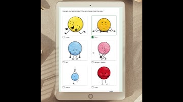 Daily Check in for Social Emotional Learning