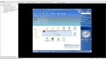 Windows Longhorn 4011 BSOD