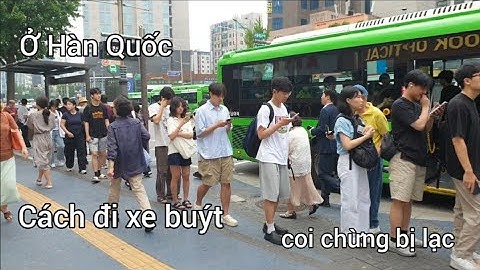 Cách đi xe buýt ở Hàn Quốc. Coi chừng bị lạc. Văn hóa đi tàu xe ở Hàn. Đi bus. Korean bus using way
