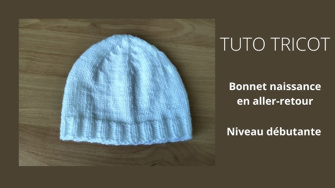 Bonnet (tuque) d'hiver au tricot▫️Tricot facile ▫️Winter knitted hat 