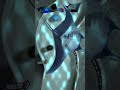 THE BLOOP 🆚 GIANT MANTA!! | MRI #shorts