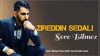 Zireddin Sedali - (Seve Bilmez Official 2023 ) Resimi