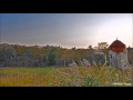 【睡眠用BGM】虫の声(秋の夜)2時間版【作業用BGM】