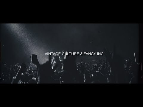 Vintage Culture Bros