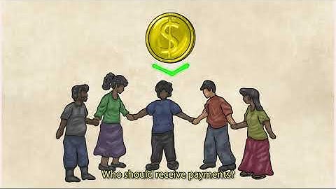 REDD+: What are results-based payments?