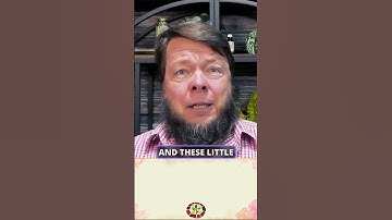 Stinging Nettle does WHAT?