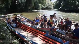 Rescued Orangutans Mata and Mynah Released into National Park