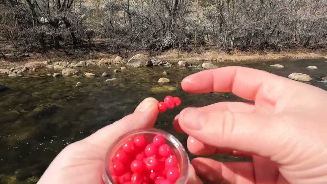 The PROPER Way To Fish Salmon Eggs In A River | Trout fishing the Kern
