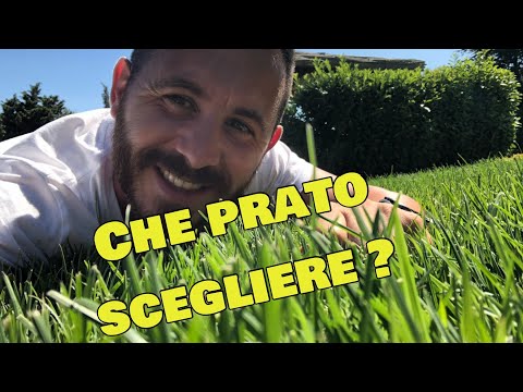 Video: Il manto erboso e la semina sono migliori?