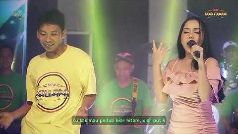 New Pallapa Official |Tri Suaka Feat Lala Widi | Kopi Dangdut | Album Terkoplo terbaru 2021