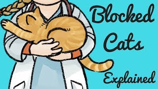 Urethral Blockages in male cats by Dr Ferox 25,471 views 5 years ago 19 minutes