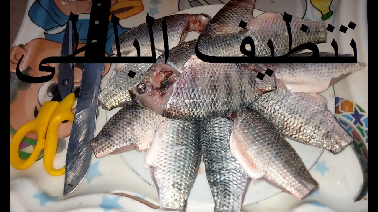 تنظيف السمك