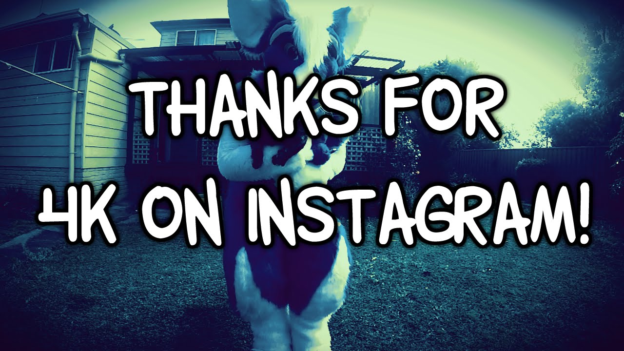 4,000 Instagram Followers! - YouTube - 1280 x 720 jpeg 173kB