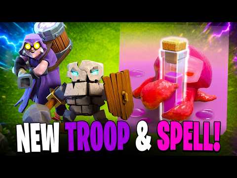 RUIN WITCHES AND ANGRY SPELLS LOOK TO SHAKE UP THE META!