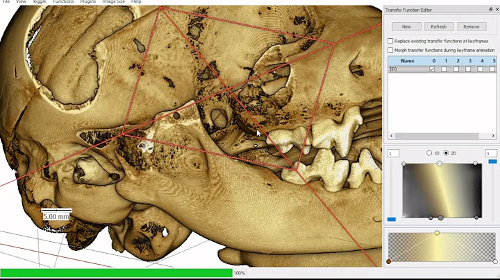 Canis ear and jaw