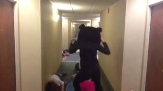 Harlem Shake -TCN Cheer Style 1