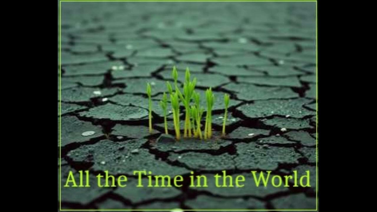 All the Time in the World All the Time in the World