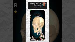 3 تطبيقات مهمين جداً لو انت داخل تمريض | تطبيق 3 | anatomy learning screenshot 2