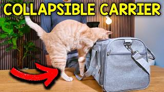 What To Expect With The LEHNI Collapsible Cat Carrier (Is It WORTH IT? )