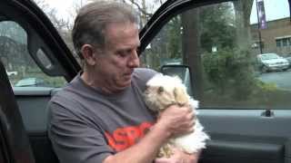 Puppy mill transport rescue to WARL - 109 dogs saved!