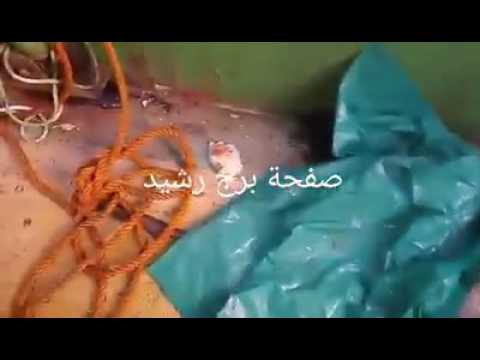 فيديو مركب رشيد الغارق من الداخل بعد إنتشاله