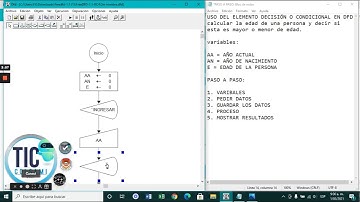 04  DFD   USO DEL CONDICIONAL O DECISIÓN