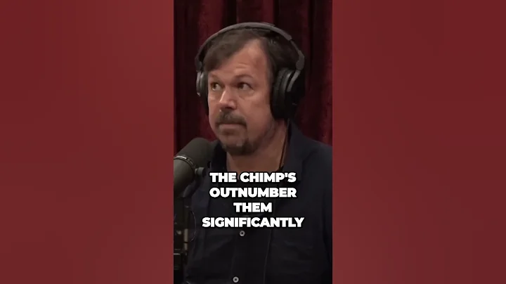 Chimp vs. Chimp: The Sad Reality of Violence in the Wild | james reed