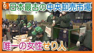 【職人技】｢勢いがないと売れない｣男性が多いせりの世界へ　26歳の女性に密着　京都市中央卸売市場【#推しごと拝見】