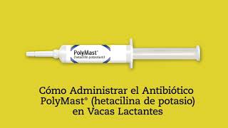 Cómo Administrar el Antibiótico PolyMast® (hetacilina de potasio) en Vacas Lactantes​