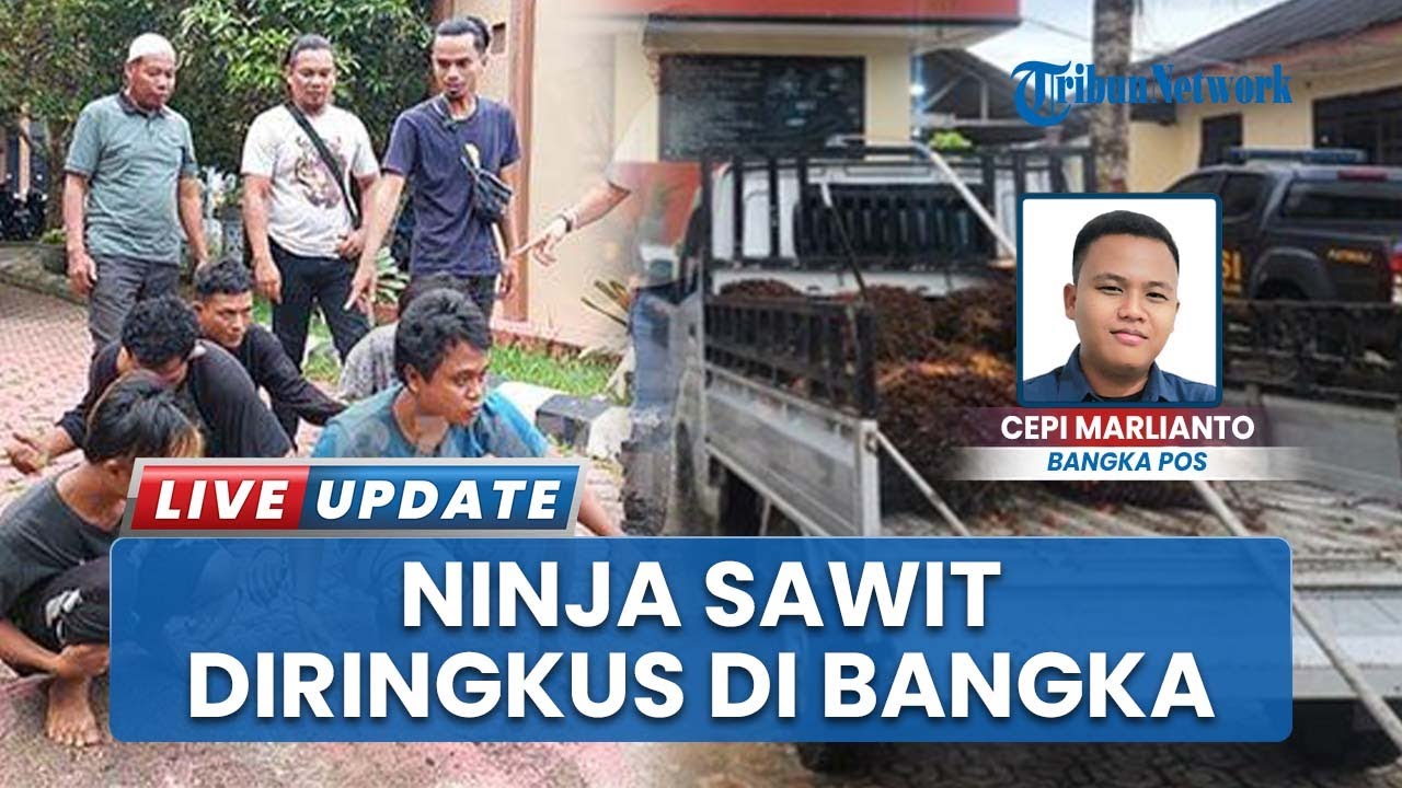 Komplotan 'Ninja Sawit' Dibekuk Kepolisian Resor Bangka Selatan 3 Jam setelah Dilaporkan oleh Korban