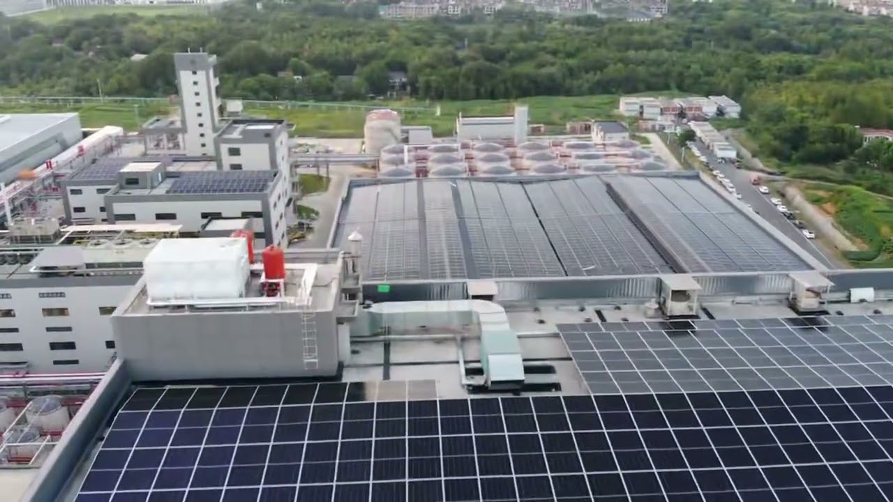 a monolaurin factory video