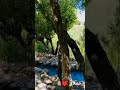 اشکاشم بدخشان دهکده آهنگردیه اشکاشم بدخشان دهکده آهنگردیه